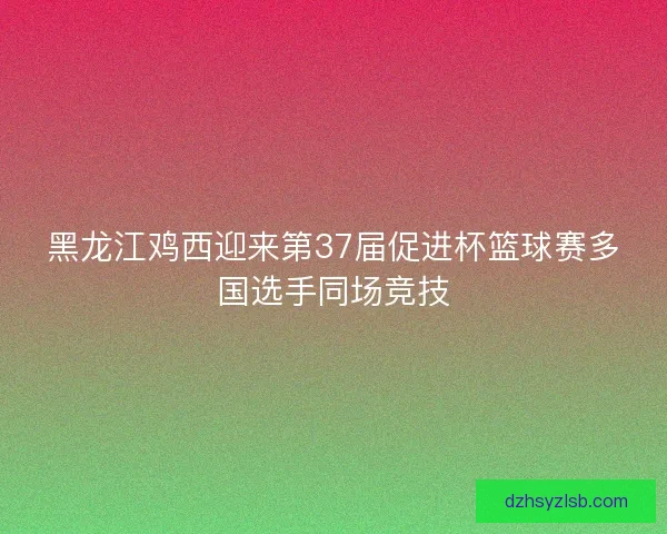 黑龙江鸡西迎来第37届促进杯篮球赛多国选手同场竞技